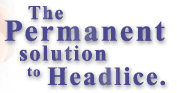 Headlice Solutions