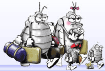 head lice treatment and prevention information from Nitmix